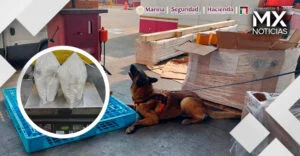 Autoridades del AICM aseguraron 10 kilogramos de metanfetamina