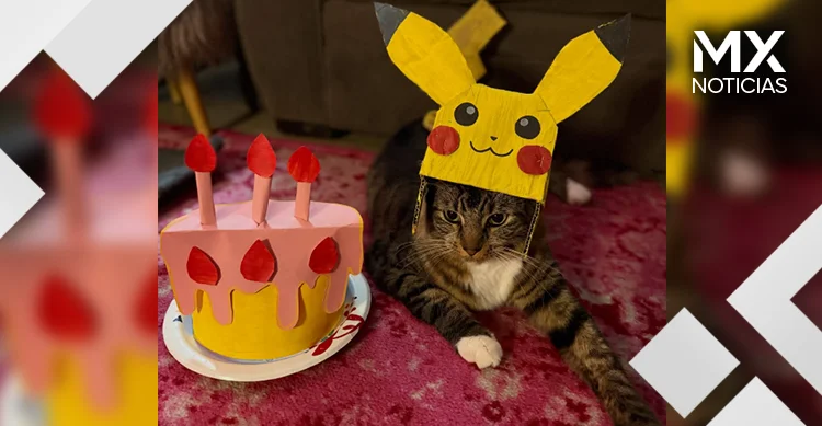 Gatito se vuelve viral por hacer cosplay de ‘Pokémon’