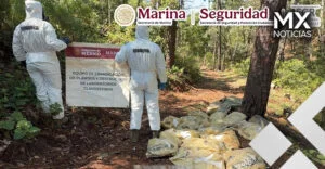 Aseguran 1.5 toneladas de metanfetamina en Durango