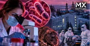 Rusia pone en cuarentena hospitales tras muerte de investigadora por posible peste neumónica