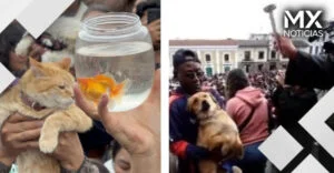 VIDEO | Feligreses de todo el mundo bendicen a sus mascotas por San Francisco de Asís