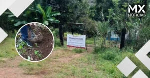VIDEO | Hallan presunto centro de exterminio en Nayarit con restos calcinados