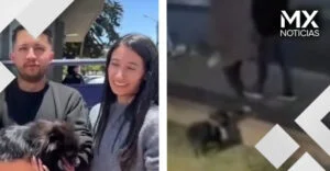 VIDEO | Recuperan a Pato, pomerania que robaron durante un asalto
