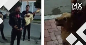 VIDEO | Se despiden de perrita con cáncer terminal llevándole serenata