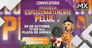 ¡Guau! Atlixco realizará su primer concurso de disfraces para lomitos